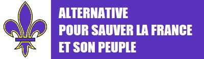 alternative constitutionnelle pour sauver la France et son peuple