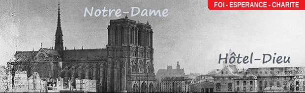 Notre-Dame de Paris et l'Hôtel-Dieu, sur le Parvis Jean-Paul II